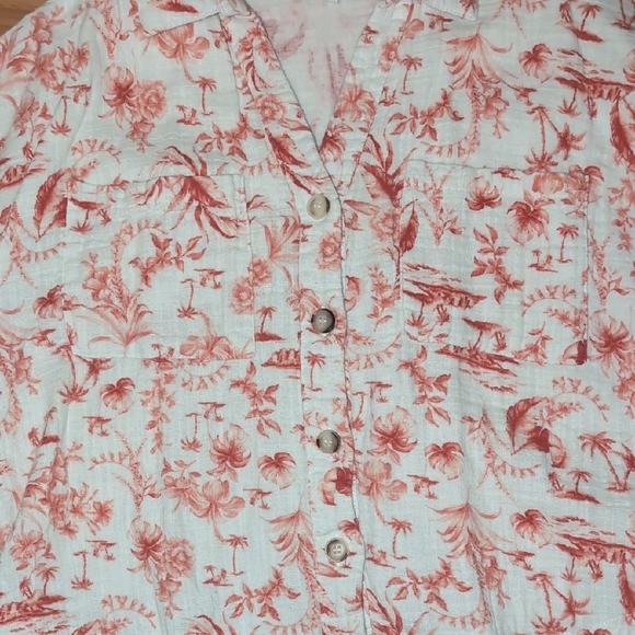Crop Button Down Shirt - Picture 3 of 6